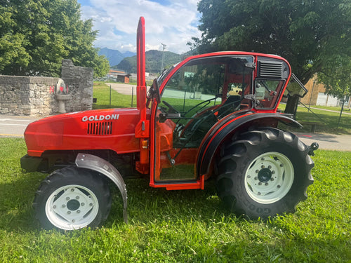 Goldoni Star 100