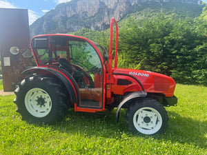 Goldoni Star 100