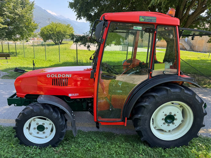 Goldoni Star 100